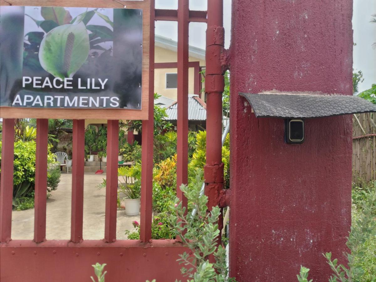 Peace Lily Studio Apartments Panglao Exteriör bild