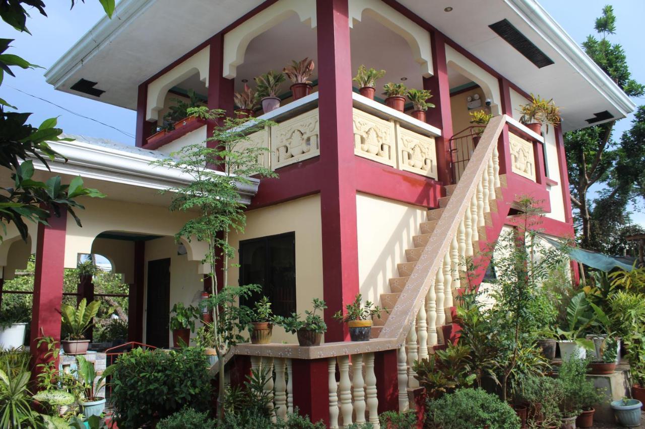 Peace Lily Studio Apartments Panglao Exteriör bild