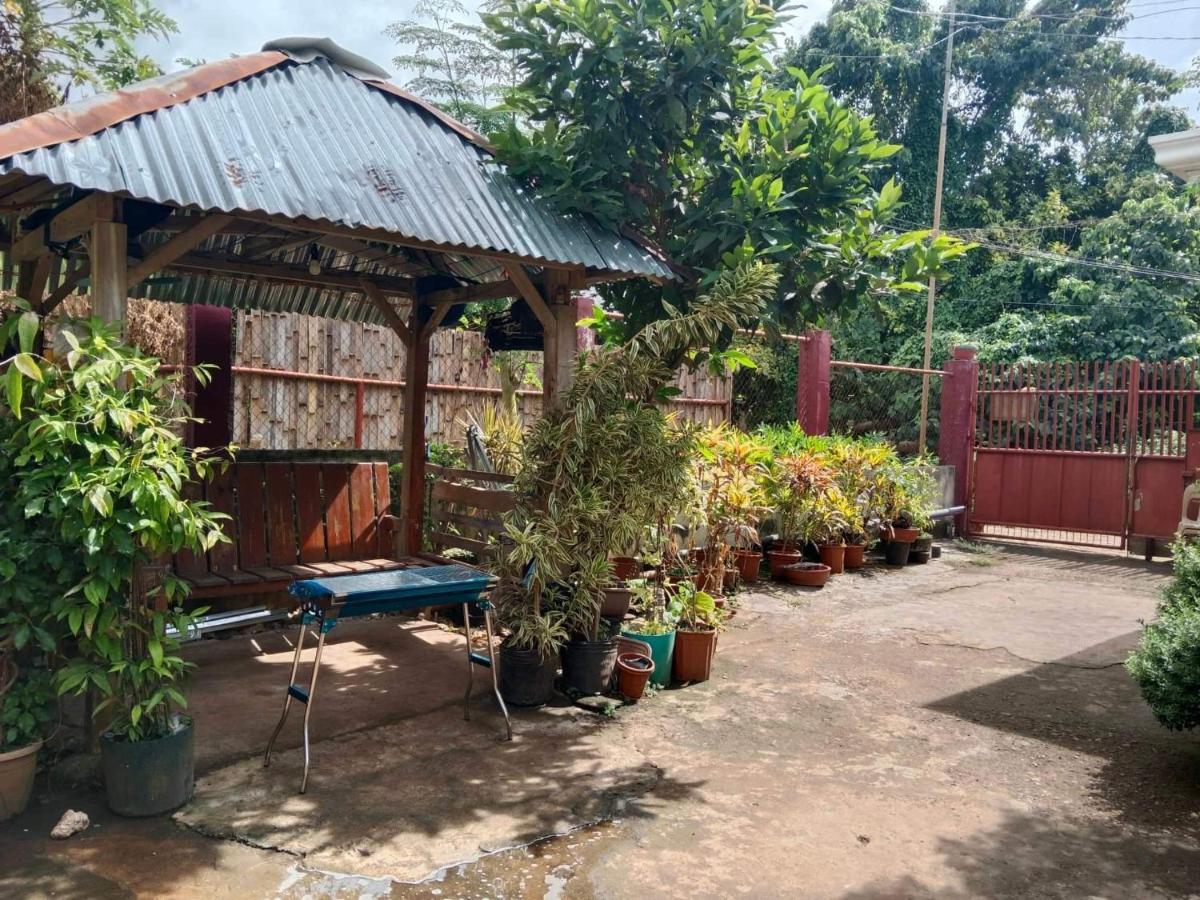 Peace Lily Studio Apartments Panglao Exteriör bild