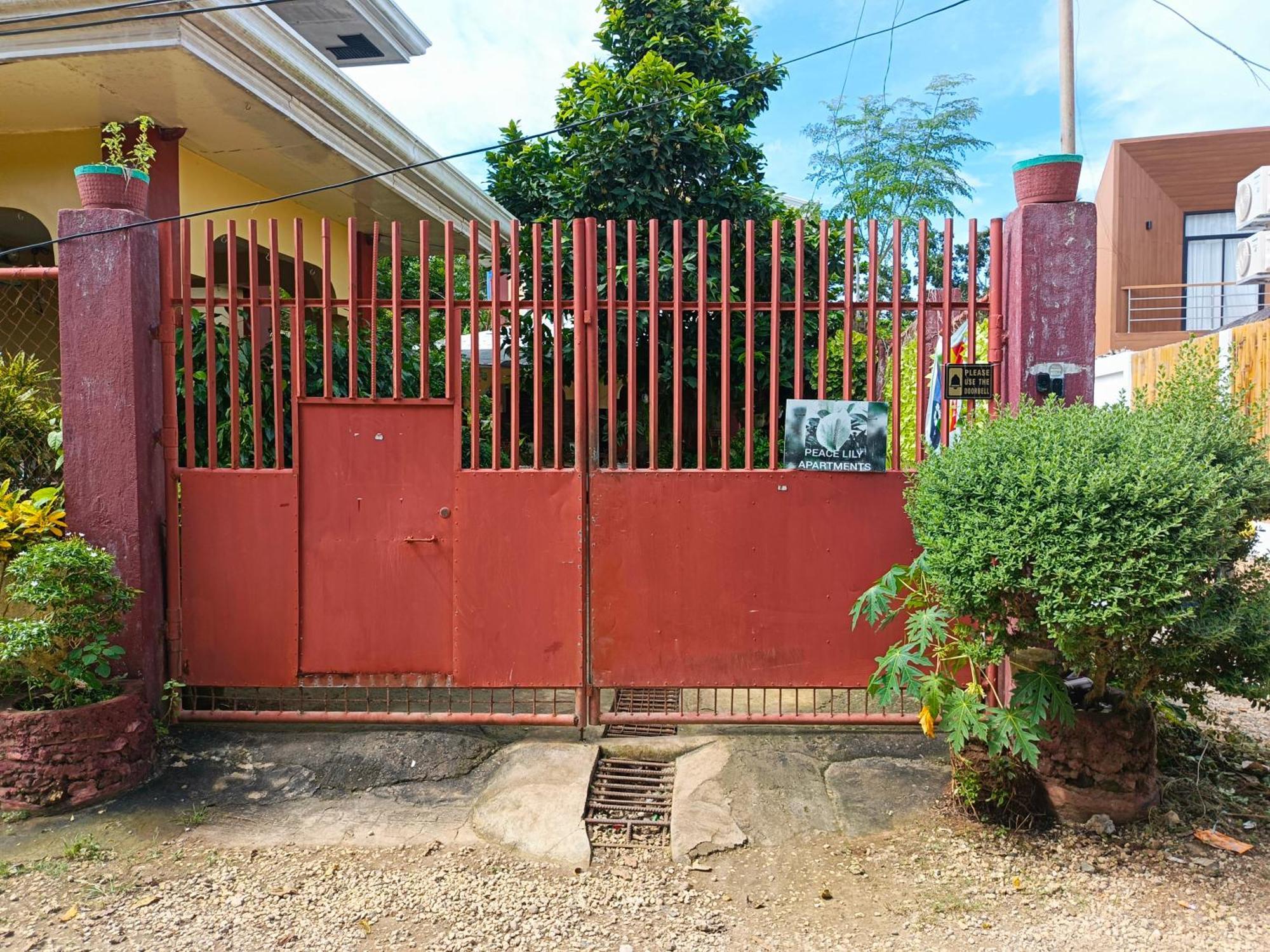 Peace Lily Studio Apartments Panglao Exteriör bild