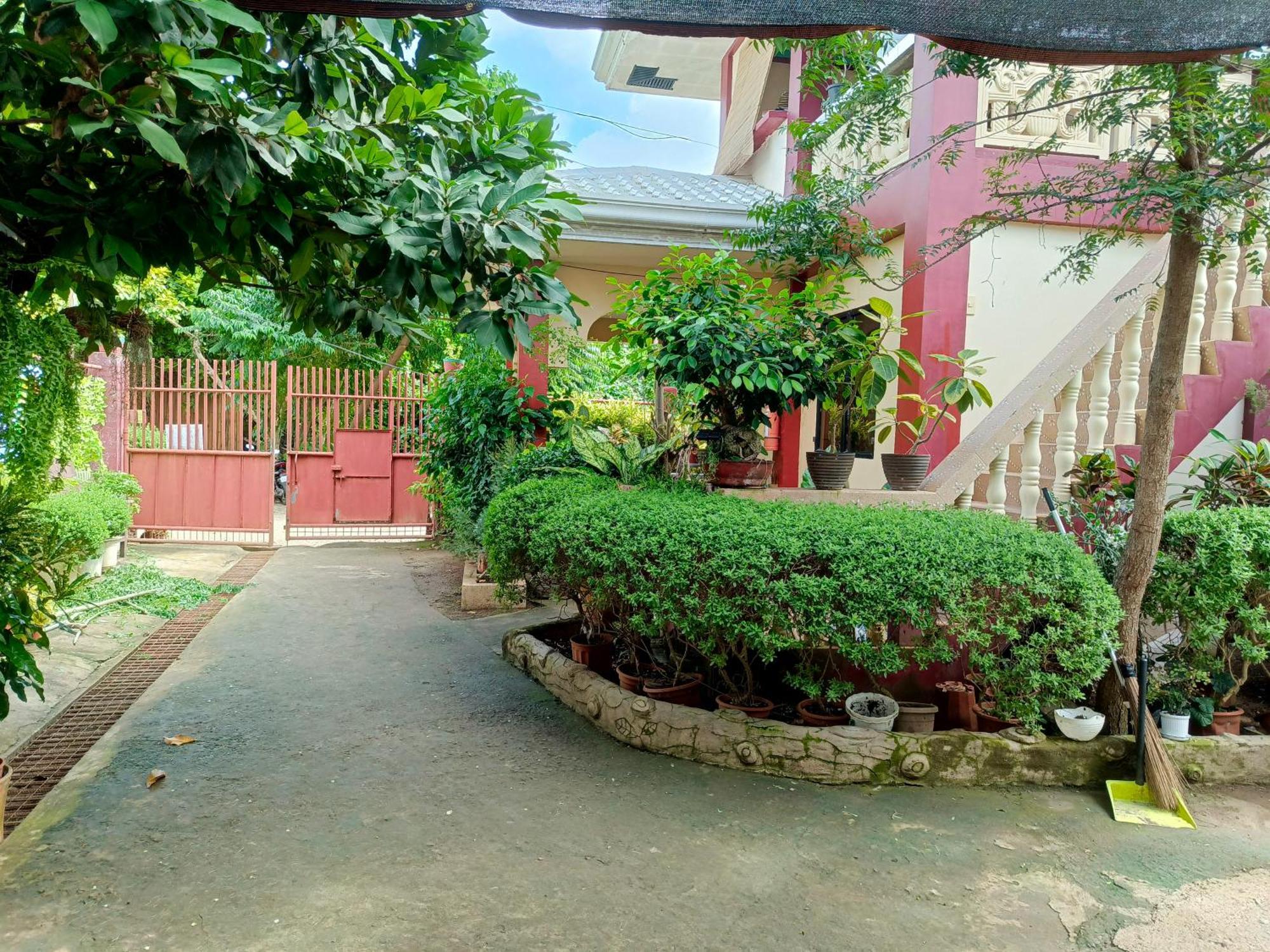 Peace Lily Studio Apartments Panglao Exteriör bild