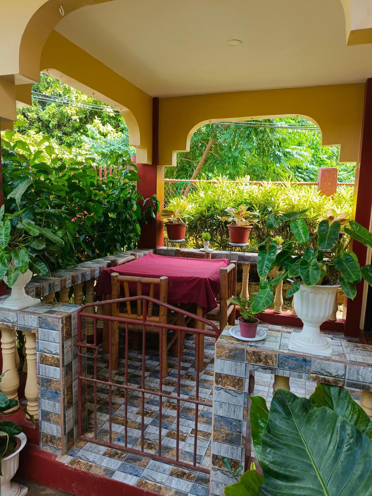 Peace Lily Studio Apartments Panglao Rum bild
