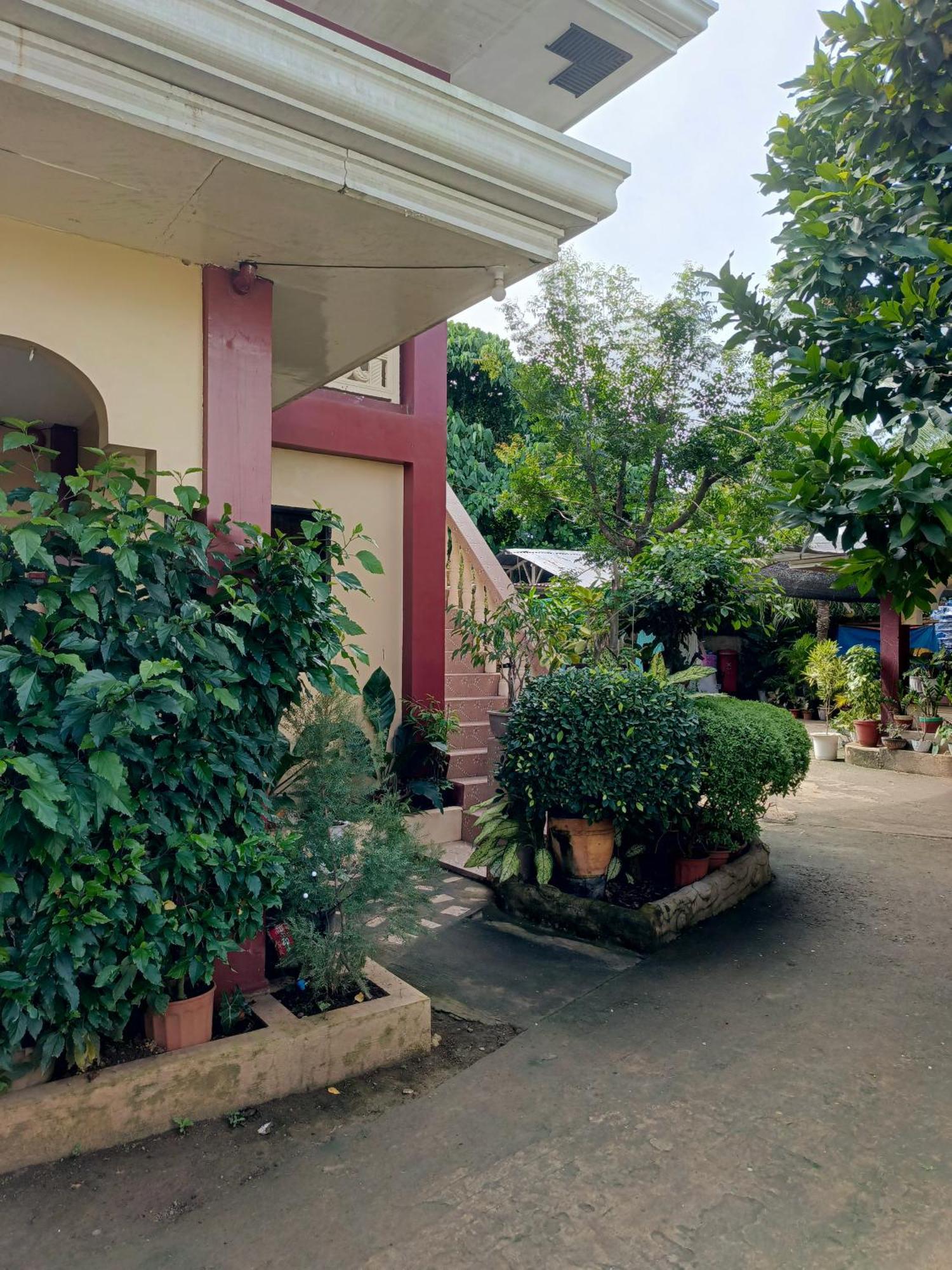 Peace Lily Studio Apartments Panglao Exteriör bild